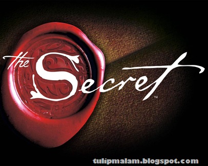 [the-secret[3].jpg]