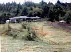 John Bennette home 14030 McCabe Chapel Rd c 1965