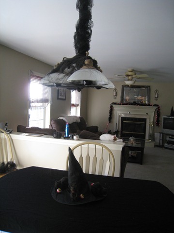 [HALLOWEEN DECO 068[2].jpg]