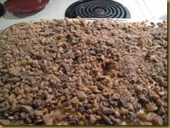 cheesecake bars 018 cheesecake bars 018
