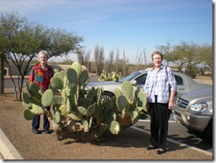 Arizona and Texas 010