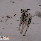 DSC03978.JPG