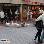 DSC01283.JPG