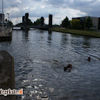 DSC03360.JPG