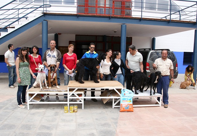 [Concurso Canino[5].jpg]