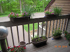 flowers, herbs, radishes and other greens.