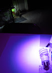 compare light of led spot with seedling lights sort of glowing behind