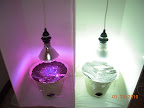 Greens lightboxes planted and running. Radish, spinach, lettuce, mustard greens (3 plant families).
