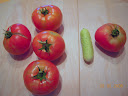 week 18: pre-storm harvest - bag-ripened tomatoes look better...