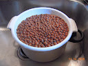 wash hydroton grow rocks, a lot...