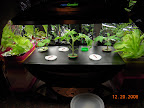 pro100 with outriders in reflective drapes