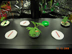 2 week eggplant & kibits & windowsill roma tomato