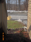 February thaw - one of my pansies still blooming out there.