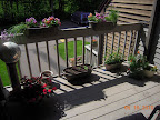 mid-deck herbs and flowers - added a few more later in the day (calibrachoa, lime basil)