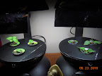 2 week basil, new impatiens cuttings. Deluxe just got replanted with romaines.