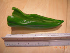 14 weeks - ate first carmen pepper