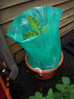 Aquashield bottom of tubes turned to bags. (Top in disarray because I started emptying it.)