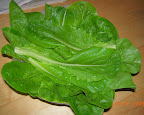 3 heads of roman emperor romaine, washed.