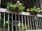 Mid-deck ornamentals and herbs (bottom left)