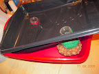 Cut holes in the paint liner. Not a perfect lid, but eh. The hydroton is holding the lid up, more than being suspended from it.