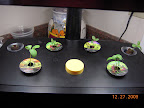 3 week bambino eggplant, now back row is 3 snapdragons and a peppermint pod.