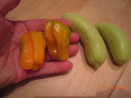 16 weeks, first mostly-orange mohawk peppers (and a couple pearl cukes)