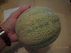 14 weeks, fully ripe (and probably last) sweet n' early cantaloupe