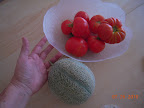 12 weeks - ate first cantaloupe (green, it turns out)