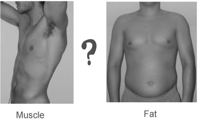 [Muscle20Turn20To20Fat2.jpg]