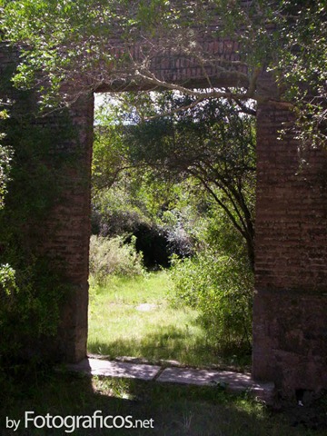 puerta-bosque