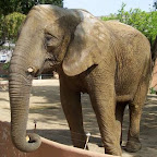external image VisitaAlZoo2007TiernoGalvanChiclana.jpg