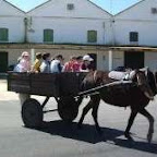 external image ExcursionAGranjaEscuelaCampanoTiernoGalvanChiclana.jpg