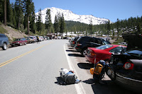 IMG_1904.JPG Photo