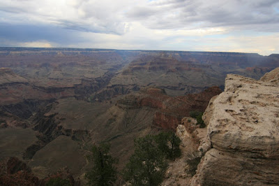 IMG_3279.JPG