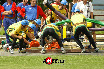 20080712 EX Lhotky 045.jpg