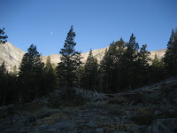 IMG_5152.JPG Photo