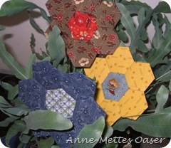 IMG_8842 IMG_8842