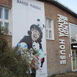DSC05195.jpg