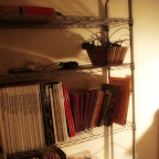 DSC05351.JPG