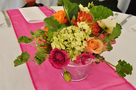 DSC_1125 DSC_1125