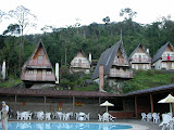 DSCN8592.JPG