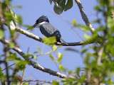 DSCN8781.JPG