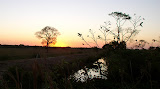 Sunset on the Pantanal.JPG