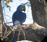 IMG_0802.JPG
