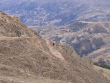 IMG_0844.JPG