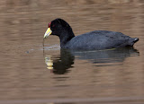 09_08_08_PERU-23-Edit.jpg