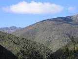 IMG_0967.JPG
