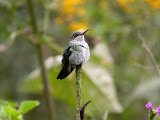 DSCN9321.JPG