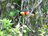 IMG_1102.JPG