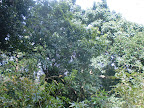 Aralam Visit Slideshow